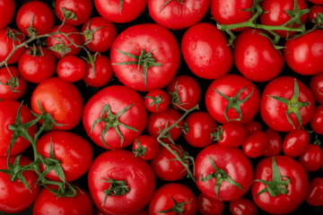 Red Tomatoes