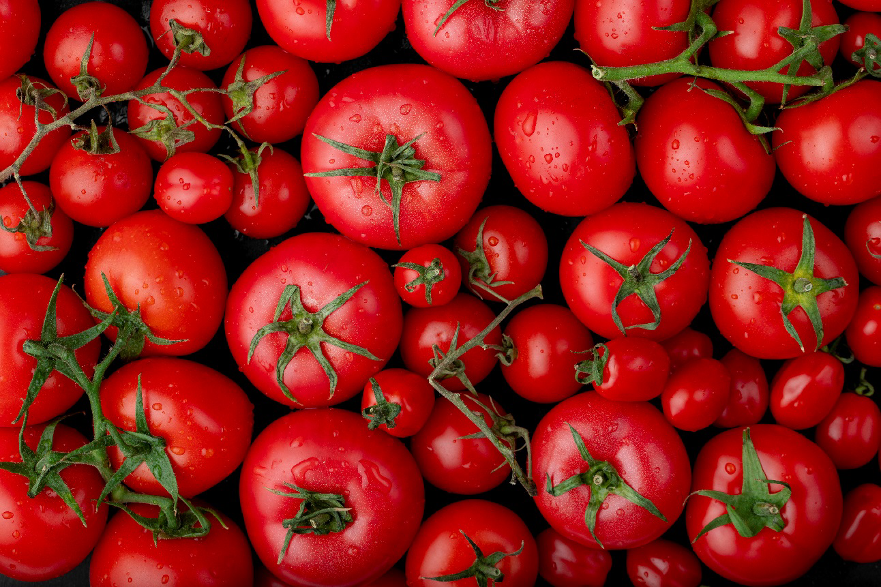 Red Tomatoes