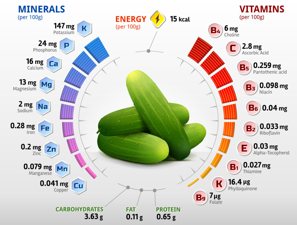 Nutrition Profile of Cucumber