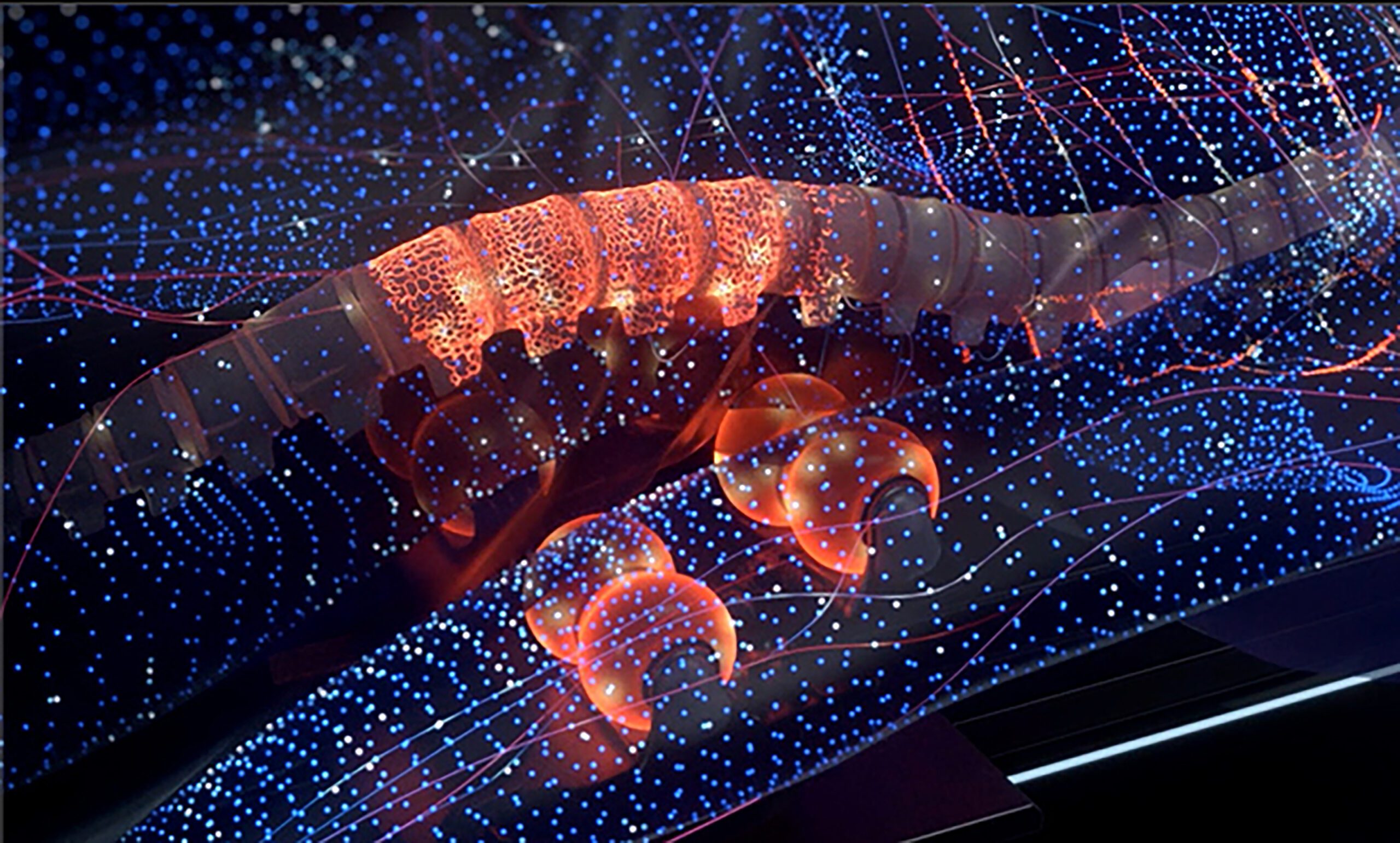 v6 technology 1 scaled - Ceragem India