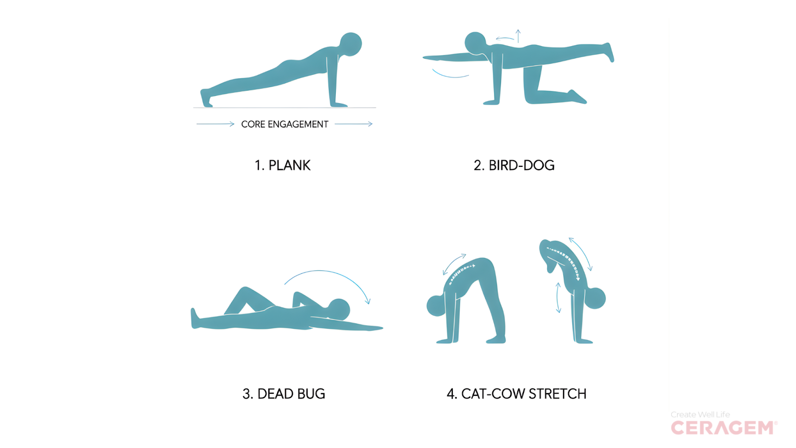 Illustration demonstrating four core exercises for back pain relief including plank, bird dog, dead bug, and stretching
